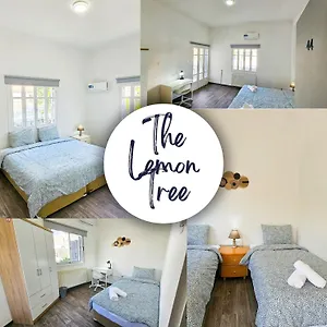 The Lemon Tree Hostel Larnaca