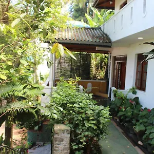  Séjour chez l'habitant Alex Sri Lanka